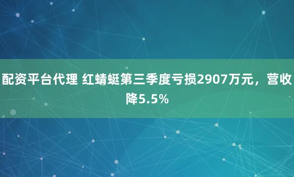 配资平台代理 红蜻蜓第三季度亏损2907万元,营收降5.5%